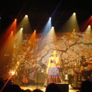 Mayra Musical Service